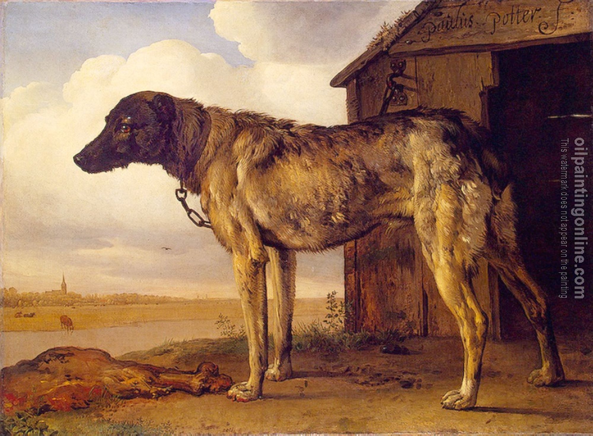 Paulus Potter - Hound